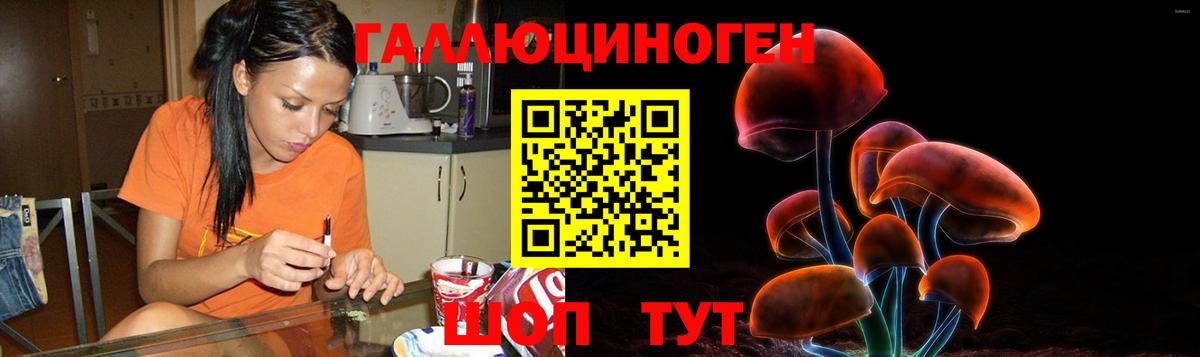 Чистополь  Псилоцибиновые грибы Cubensis  Вход с VPN 